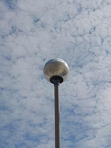 写真: 鱗雲と街灯（10月7日）