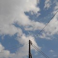 写真: 電柱の上の空（11月8日）