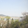 写真: 大井川鐡道の車窓から