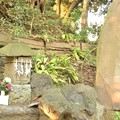 写真: 多摩川浅間神社（11月）