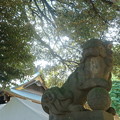 写真: 太子堂八幡神社（令和元年8月）