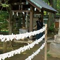 写真: 赤坂氷川神社