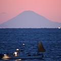 写真: 石鏡漁港からの富士山