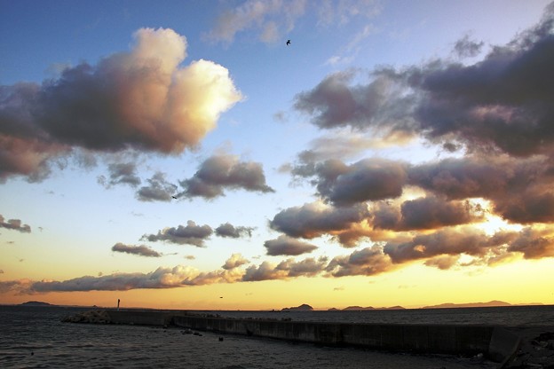 写真: 伊良湖水道の朝雲