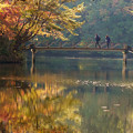 写真: 湖の秋