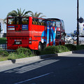 写真: 神戸市内定期観光バス