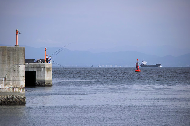 写真: 防波堤の釣り人