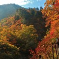 写真: 渓谷の秋　３