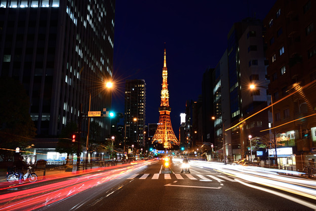 写真: やっぱり東京タワー２