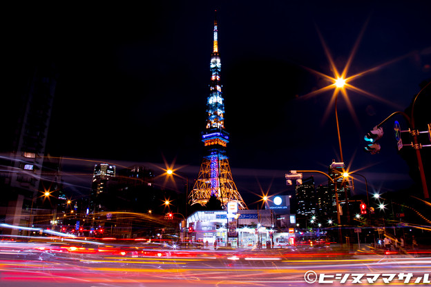 写真: ド定番の東京タワー2
