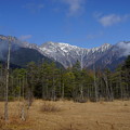 写真: 田代湿原からの穂高岳