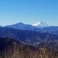 写真: 高尾山からの富士山