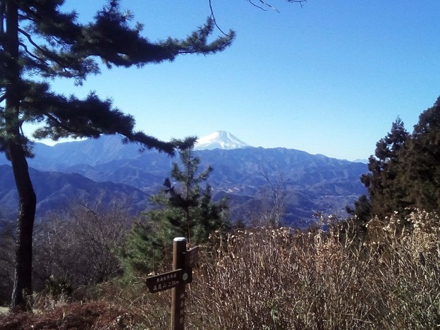 写真: 小仏城山からの富士山