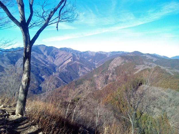 写真: 岩茸石山から棒ノ嶺方面の眺め