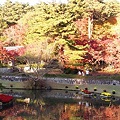写真: 修善寺虹の郷の紅葉