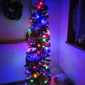 写真: 我が家のクリスマスツリー