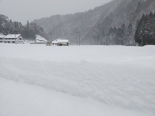 写真: 田舎の雪