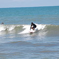 写真: surf 223