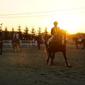 写真: 夕日の騎手