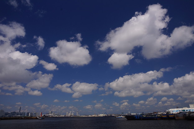 写真: 青い空と白い雲