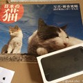 iPhone 7 Plus咥えて持って来た日本の猫 〜同時到着10.5