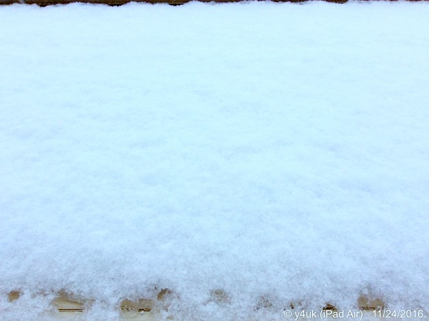 11.24WhiteXmasEve〜1か月前、初雪