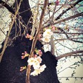 桜の木の桜に 〜happiness 4.4