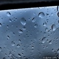 写真: Hard Rain Drop 〜8.1大雨Go〜雨粒の数だけ