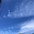 秋晴れのした電線を辿って〜autumn sky〜[iPhone8/8Plus予約開始日]