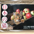 Photos: ねこ写真が生きてる〜岩合光昭ワールド全開〜"日本の猫カレンダー"もう到着オーラに悶絶