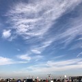 Photos: 去年の今日 〜同じ青空〜高い空を飛んだ〜autumn blue sky