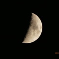 紅葉の向こう、上弦の月〜周りに星たち〜autumn in moon zoom 1500mm ver.