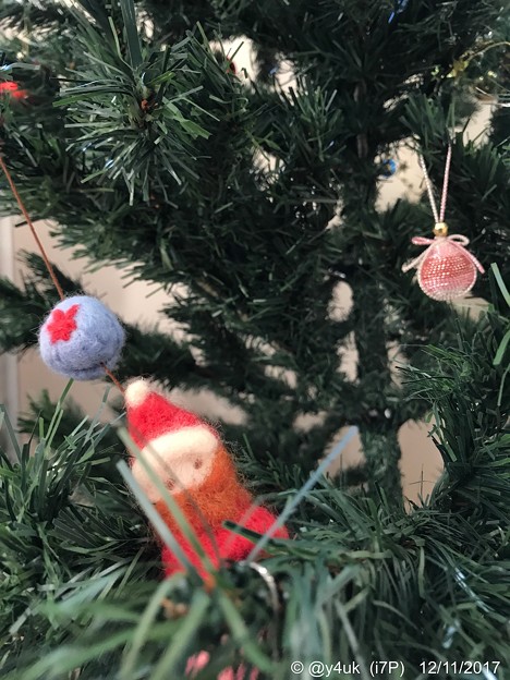 Santa is in Xmas Tree 〜今年も会えたチビサンタ〜木々の奥のサンタへタップフォーカス