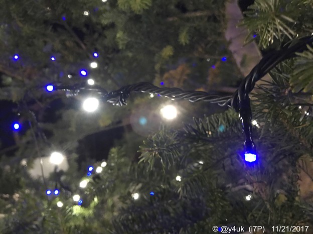 Night Xmas Tree 〜夜に輝く青と白〜iPhoneでボケ〜