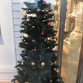 Photos: Xmas Tree in the shop