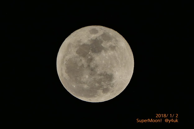 写真: 2日お正月いきなりスーパームーン〜月に吠えろ！今年こそ飛べ！〜2018年最大の満月