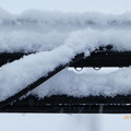 Photos: 細い電線にまで降りつもる大雪 〜snow cable