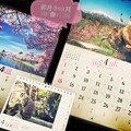 Photos: @y4uk月、卯月、Start〜桜、青空、にゃんこ 岩合光昭、湖、風景、春＝All Love 4!