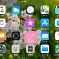 Landscape iOS11.3 new update today’s iPhone7Plus 〜桜アップ写真を壁紙に「△」アンテナピクトに戻ったけど棒たちが丸いのがAppleらしい(o^^o)