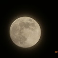 Flower Moon 5月の満月、薄雲の中から〜窓から見えて手持ち速写[1500mm 60倍]