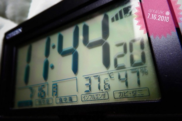 11:44am 37.6℃47％〜午前中からHotday猛暑酷暑(~_~;)滴る汗の中、TZ85のマクロモード＆“トイポップ”で撮影〜pmさらにヒートアップ命の危険は朝昼晩深夜早朝24h連日連夜