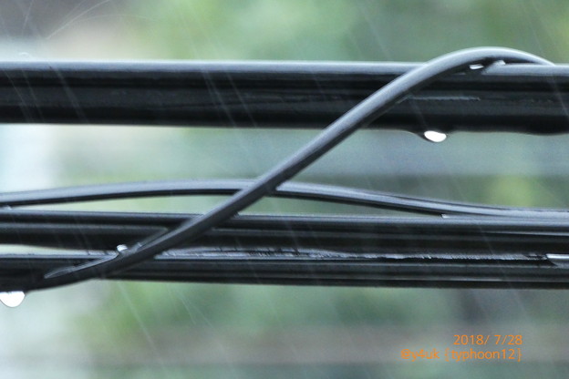 typhoon12 RainDrop black cable back summer〜真夏の台風暴風雨、酷暑クールダウン若干。そして1週また今日13号coming関東(ズーム・絞り優先・撮って出し)