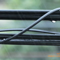 typhoon12 RainDrop black cable back summer〜真夏の台風暴風雨、酷暑クールダウン若干。そして1週また今日13号coming関東(ズーム・絞り優先・撮って出し)