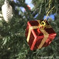 Photos: Xmas Present Tree〜クリスマスツリー☆赤い箱が温かい( ´ ▽ ` )12.3#ワンツースリーの日に行った通院旅先で今年はずめて付け足したプレゼントオーナメント見ただ！サンタさんからだ