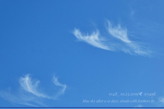Photos: 11:48_10.23Blue sky after a 10days, clouds with feathers fly〜10.13台風一過ぶりの青空、羽が飛ぶ雲踊る秋晴れと電線(82mm:TZ85)