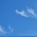 Photos: 11:48_10.23Blue sky after a 10days, clouds with feathers fly〜10.13台風一過ぶりの青空、羽が飛ぶ雲踊る秋晴れと電線(82mm:TZ85)