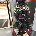 Photos: 11.18_15:29旅先その6.“今年初のXmas Tree”Pink or Velvet colors & Presented to the bottom〜ボール色が大人ぽい◯今年1枚目のXmas