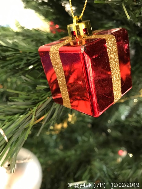 12.2旅先その5.毎年恒例XmasTreeからのPresent Box Red〜1年ぶりの再会☆ここのクリスマスツリーも些細で小さいけど毎年楽しみに12月あえて予約し来ること13年〜変わらぬ優しさ☆