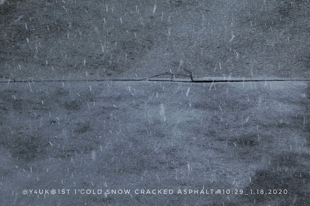 Photos: 10:29_1.18.2020＊1st 1℃old Snow Cracked Asphalt〜今冬初雪1℃は降る午前。やっと冬らしい凍える日でした病気になるがシャキッともする時折天使は舞い降りこれぞ冬