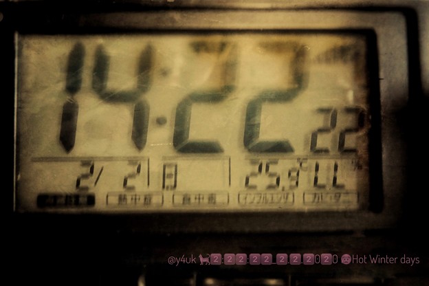 2:22:22_2.2.2020 25.9℃ Hot Winter days〜にゃんこだらけの日も暖冬夏気温…寒暖差と先日の旅で風邪…2月お誕生月。暑さ出すボケ表現(クリエイティブジオラマ:TZ85)